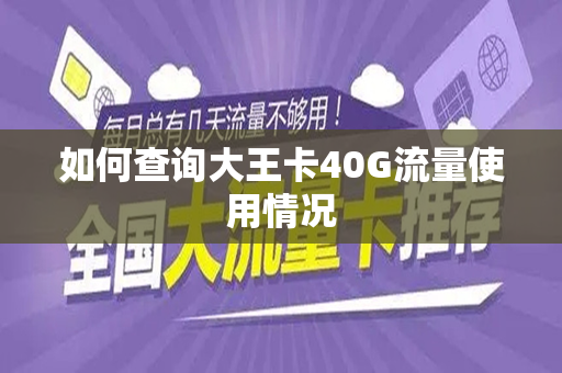 如何查询大王卡40G流量使用情况