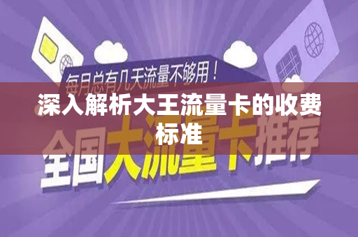 深入解析大王流量卡的收费标准