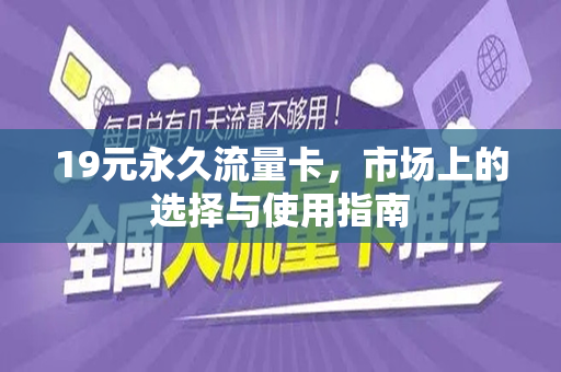 19元永久流量卡，市场上的选择与使用指南