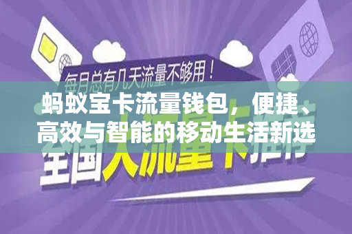 蚂蚁宝卡流量钱包，便捷、高效与智能的移动生活新选择