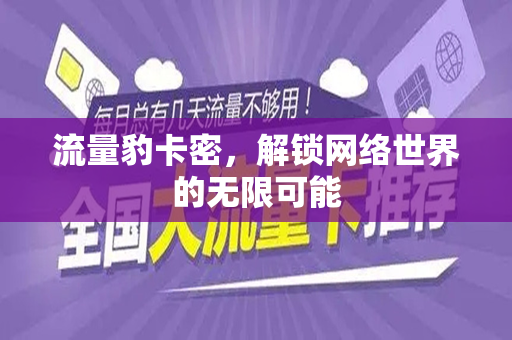 流量豹卡密，解锁网络世界的无限可能