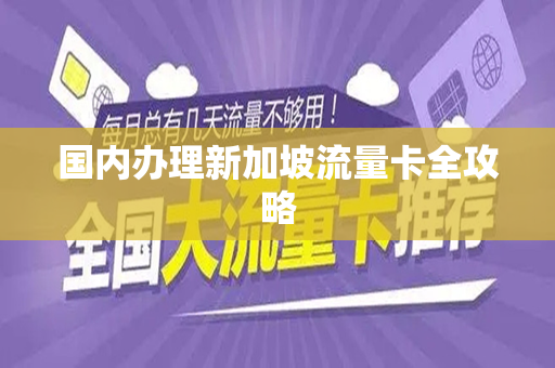 国内办理新加坡流量卡全攻略
