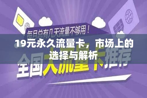 19元永久流量卡，市场上的选择与解析
