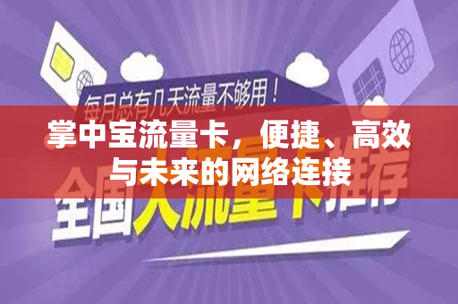 掌中宝流量卡，便捷、高效与未来的网络连接