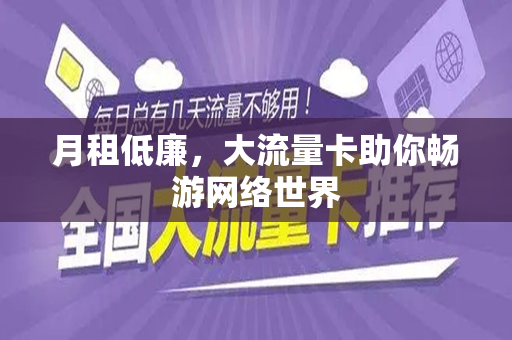 月租低廉，大流量卡助你畅游网络世界