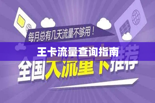 王卡流量查询指南