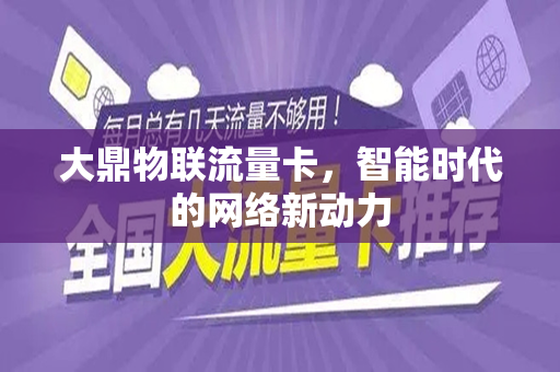 大鼎物联流量卡，智能时代的网络新动力
