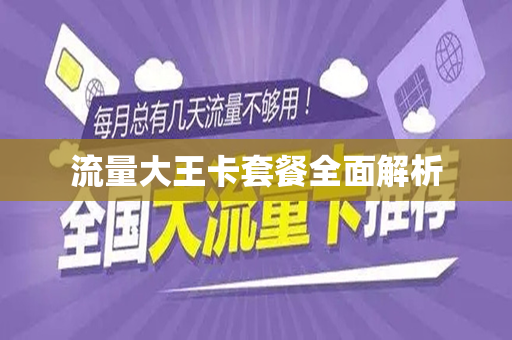 流量大王卡套餐全面解析