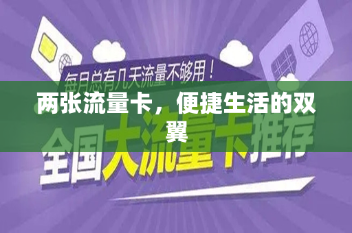 两张流量卡，便捷生活的双翼