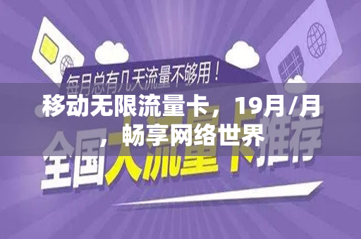 移动无限流量卡，19月/月，畅享网络世界