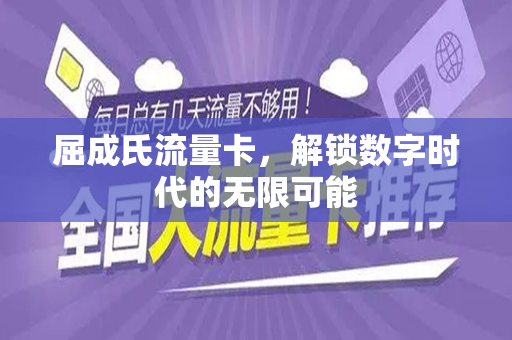 屈成氏流量卡，解锁数字时代的无限可能