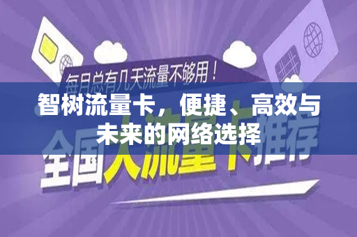 智树流量卡，便捷、高效与未来的网络选择