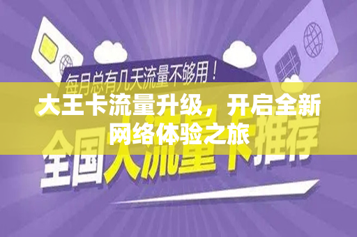 大王卡流量升级，开启全新网络体验之旅