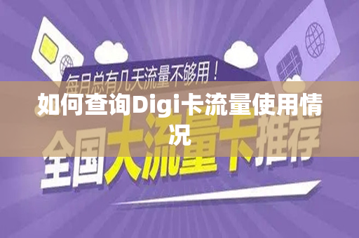 如何查询Digi卡流量使用情况