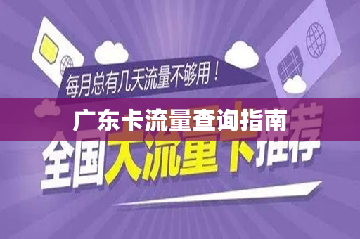 广东卡流量查询指南