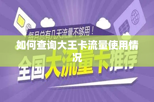 如何查询大王卡流量使用情况