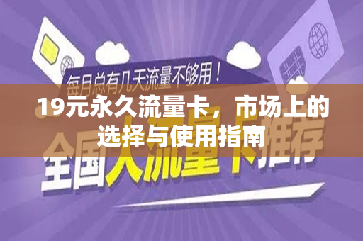 19元永久流量卡，市场上的选择与使用指南