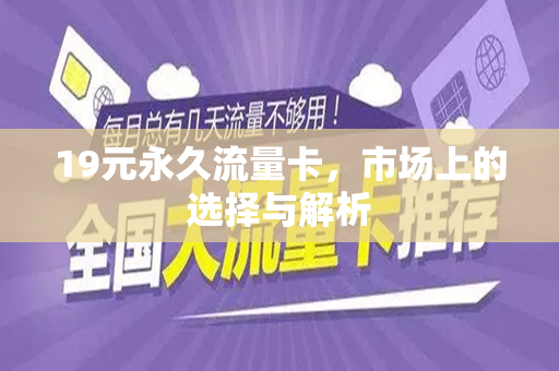 19元永久流量卡，市场上的选择与解析