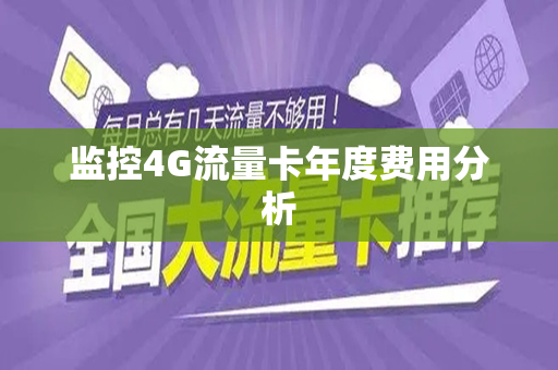 监控4G流量卡年度费用分析