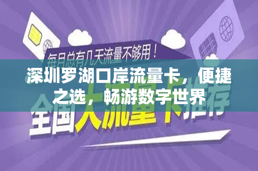 深圳罗湖口岸流量卡，便捷之选，畅游数字世界