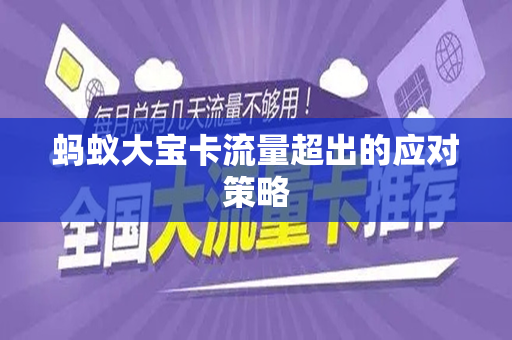 蚂蚁大宝卡流量超出的应对策略