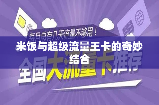 米饭与超级流量王卡的奇妙结合