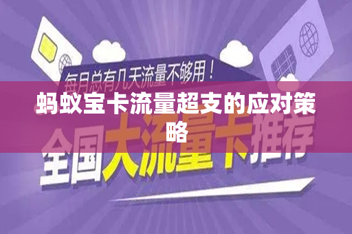 蚂蚁宝卡流量超支的应对策略
