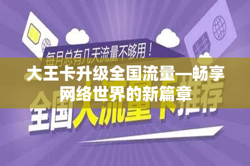 大王卡升级全国流量—畅享网络世界的新篇章