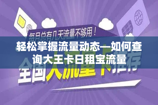 轻松掌握流量动态—如何查询大王卡日租宝流量