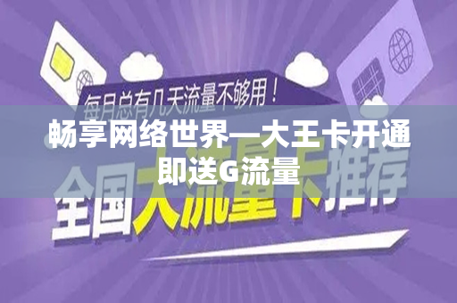 畅享网络世界—大王卡开通即送G流量