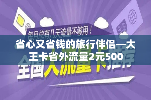 省心又省钱的旅行伴侣—大王卡省外流量2元500