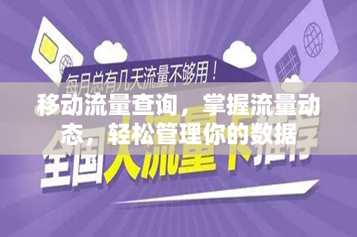 移动流量查询，掌握流量动态，轻松管理你的数据
