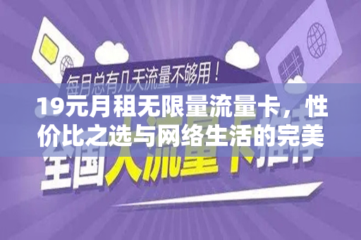 19元月租无限量流量卡，性价比之选与网络生活的完美结合