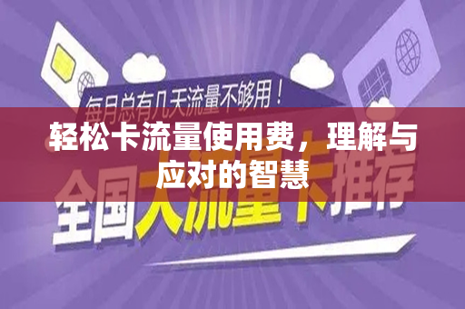 轻松卡流量使用费，理解与应对的智慧