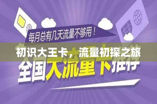 初识大王卡，流量初探之旅