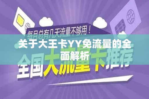 关于大王卡YY免流量的全面解析