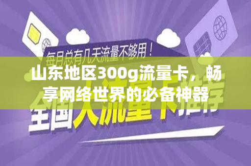 山东地区300g流量卡，畅享网络世界的必备神器