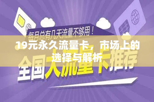 19元永久流量卡，市场上的选择与解析