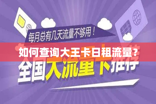 如何查询大王卡日租流量？