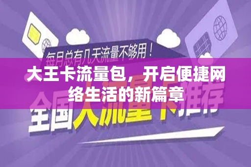 大王卡流量包，开启便捷网络生活的新篇章