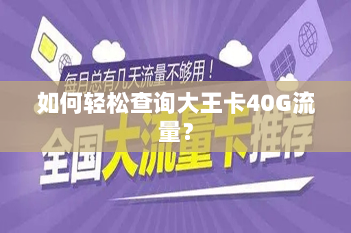 如何轻松查询大王卡40G流量？