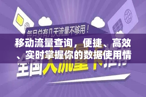移动流量查询，便捷、高效、实时掌握你的数据使用情况