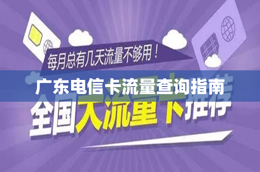 广东电信卡流量查询指南