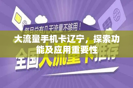 大流量手机卡辽宁，探索功能及应用重要性