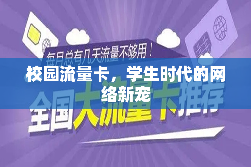 校园流量卡，学生时代的网络新宠