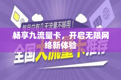 畅享九流量卡，开启无限网络新体验