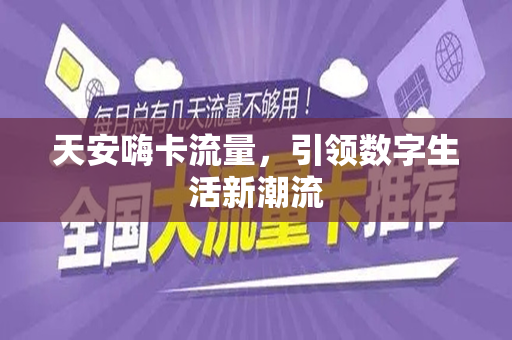 天安嗨卡流量，引领数字生活新潮流
