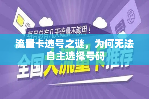 流量卡选号之谜，为何无法自主选择号码