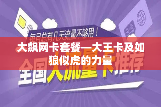 大飙网卡套餐—大王卡及如狼似虎的力量