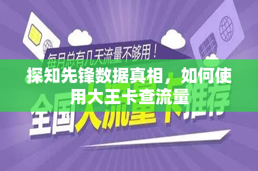 探知先锋数据真相，如何使用大王卡查流量